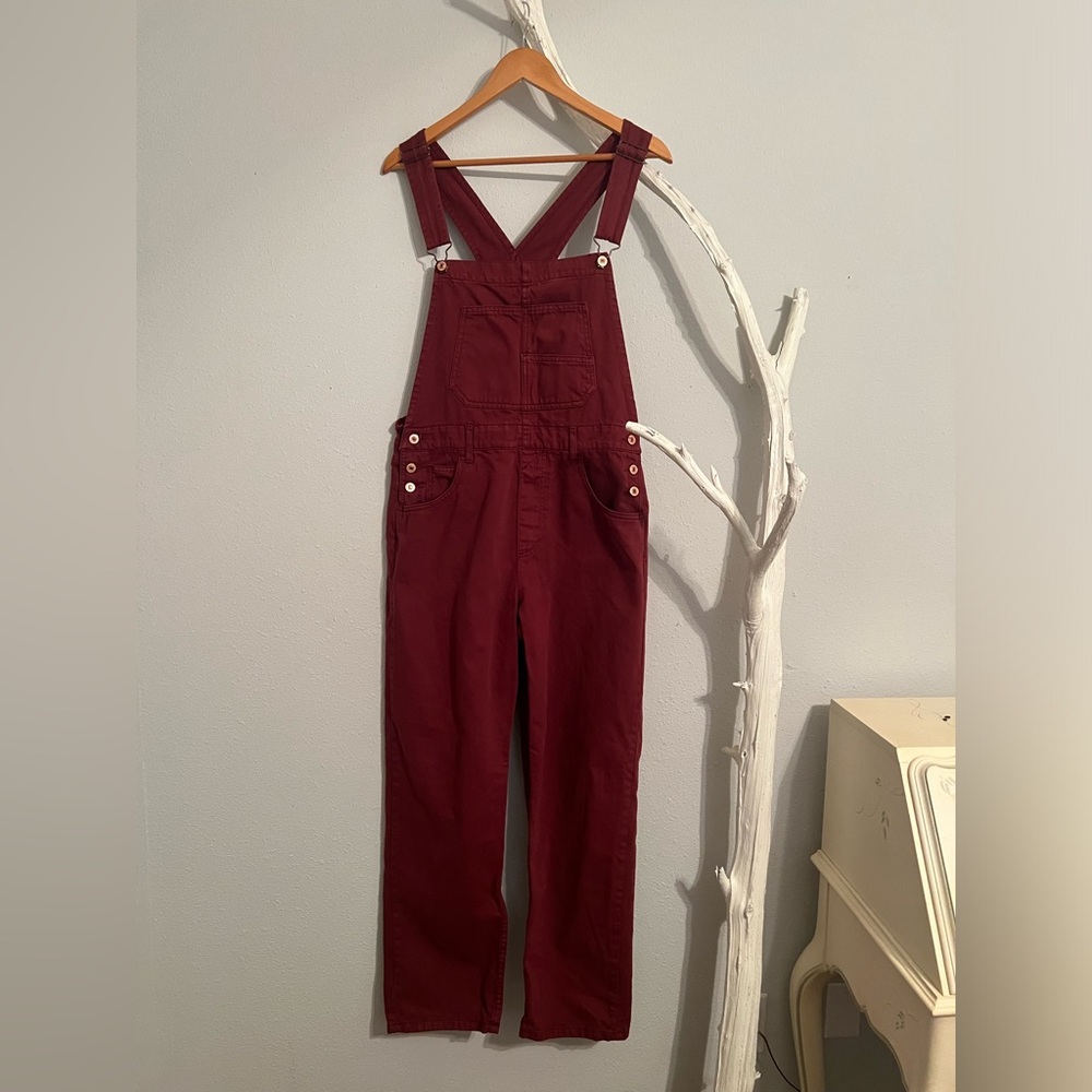 Free People We The Free Ziggy Denim Overalls Burgundy Maroon Size Medium